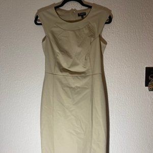 The Limited Tan Minimalist Dress Size 2